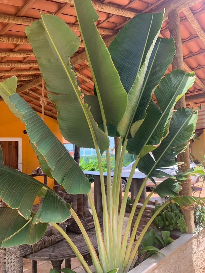 Ville Sweet Home Canoa Quebrada Extérieur photo